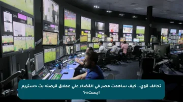 تحالف قوي.. كيف ساهمت مصر في القضاء على عملاق قرصنة بث «ستريم إيست»؟